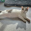 Monday - Photo 3