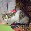 Monday - Photo 7