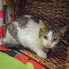 Monday - Photo 8