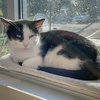 Tuesday - Photo 4
