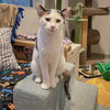 Friday - Photo 6