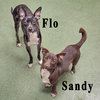Flo - Photo 6