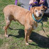 Lil Man - Photo 2