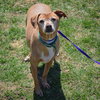 Lil Man - Photo 3