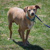 Lil Man - Photo 4
