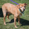 Lil Man - Photo 5