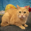 Huey - Photo 3