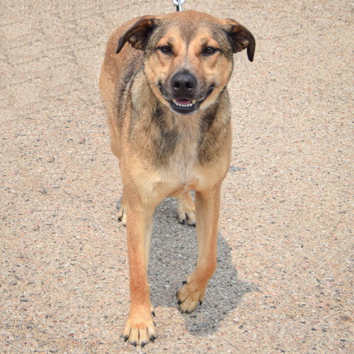 Max photo 4