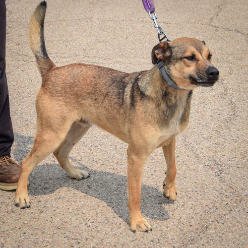 Max photo 5