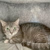 Mary - Photo 6
