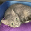 Mary - Photo 7