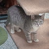 Mary - Photo 4
