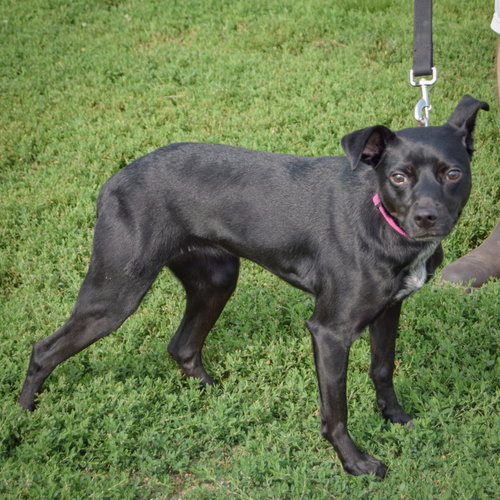 Luna photo 2