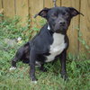 Stan - Photo 3