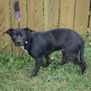 Stan - Photo 4