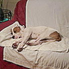 Wiley