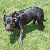 Bella - Photo 4