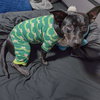 Bella - Photo 7