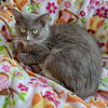 Seven - Photo 6