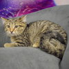 Gladys - Photo 3