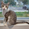 Boonie - Photo 5
