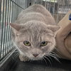 Winifred - Photo 4