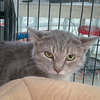 Winifred - Photo 5