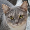 Winifred - Photo 1