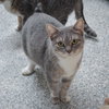Winifred - Photo 2