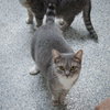 Winifred - Photo 3