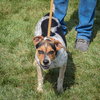 Jeff - Photo 3