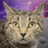 Tallulah - Photo 5