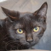 Ralphie - Photo 4