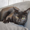 Ralphie - Photo 3