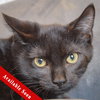 Ralphie - Photo 1