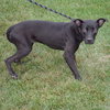 Faith - Photo 4