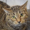 Charlie - Photo 1