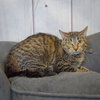 Charlie - Photo 2