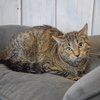 Charlie - Photo 3