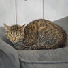 Charlie - Photo 5
