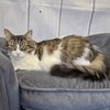 Dorothy - Photo 2