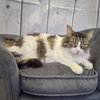 Dorothy - Photo 3