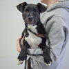 Willie - Photo 3