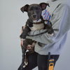 Willie - Photo 4