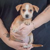 Daisy - Photo 3