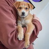 Ruth - Photo 3