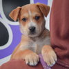 Ruth - Photo 5