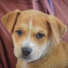 Ruth - Photo 6