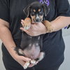 Tank - Photo 3