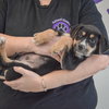 Tank - Photo 4
